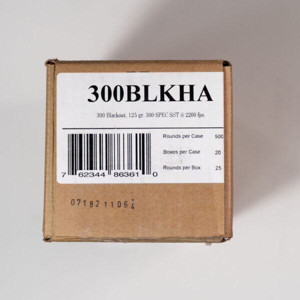 FIOCCHI 300BLKHA 125GR 20/500...