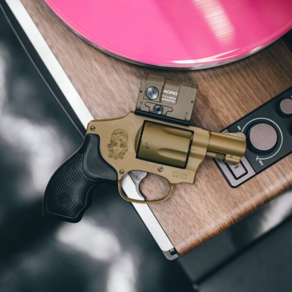 WRMFZY x Gallensons S&W 442.WRM x ACRO