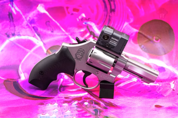 HotFuzz Smith and Wesson 64 .38 special